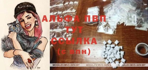 стафф Алзамай
