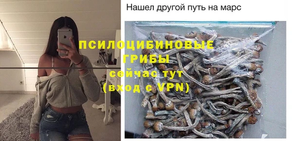 ешки Алексеевка