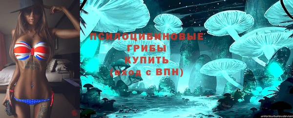 ешки Алексеевка