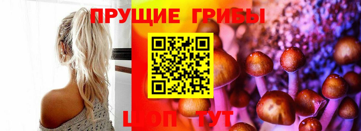 хочу   Псилоцибиновые грибы прущие грибы  Вход с VPN  Заинск 